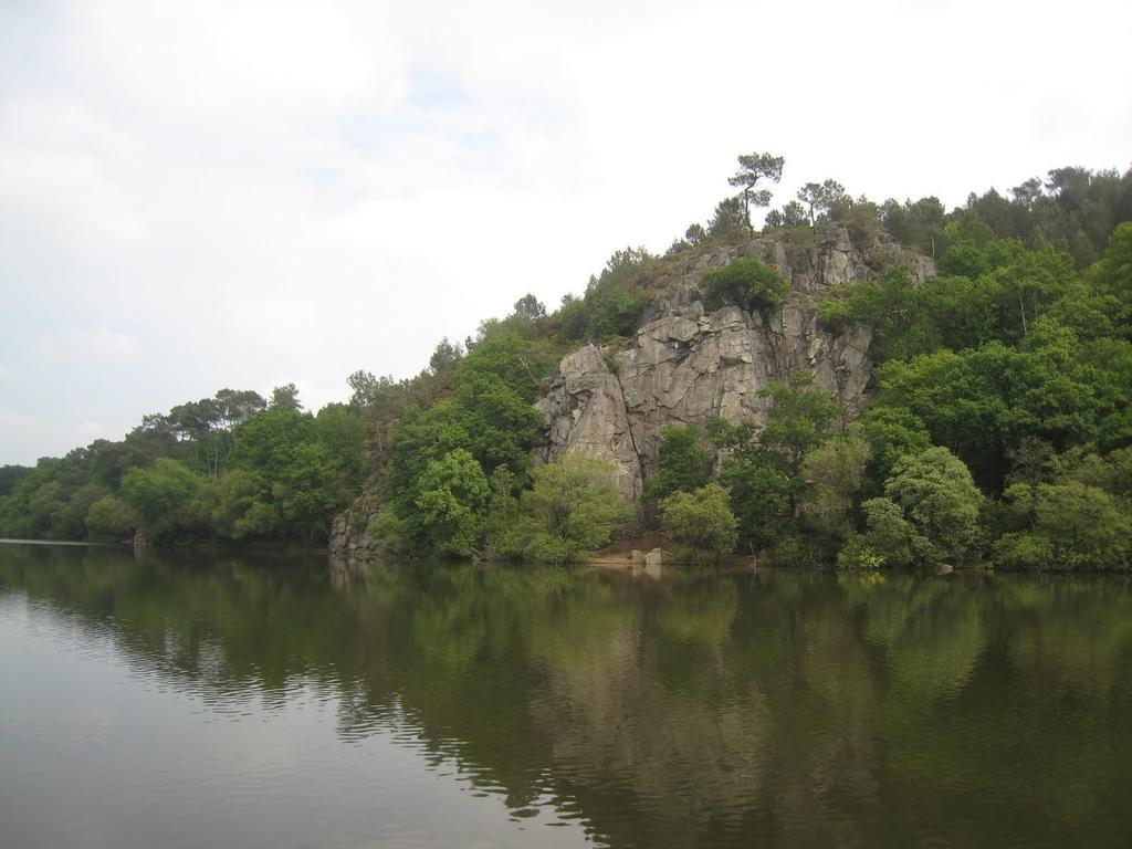 波波迪特博洛桑住宿加早餐旅馆 Saint-Martin-sur-Oust 外观 照片